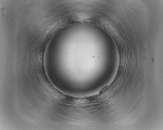 X0000088840461200706071424