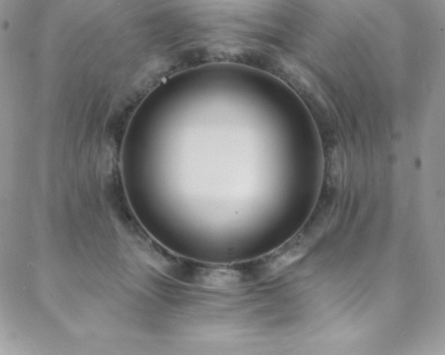 X0000088840463200706071424