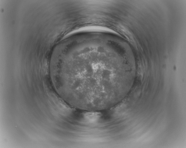 X0000088840465200706071424