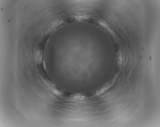 X0000088840471200706071424