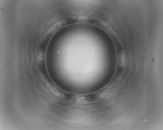 X0000088840472200706071424