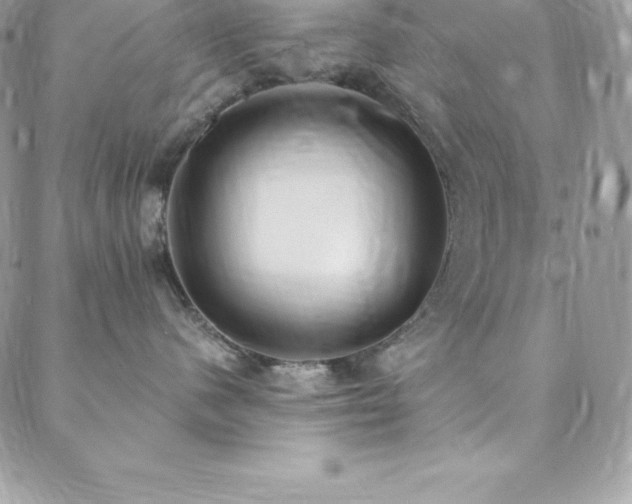 X0000088840480200706071424