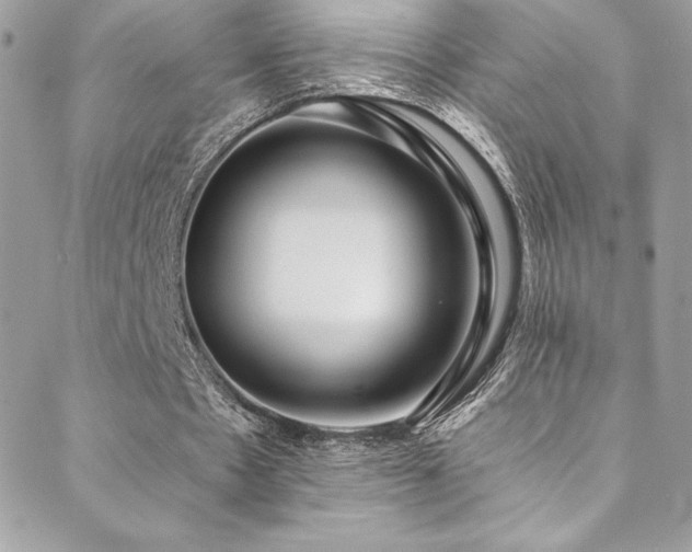 X0000088840481200706071424