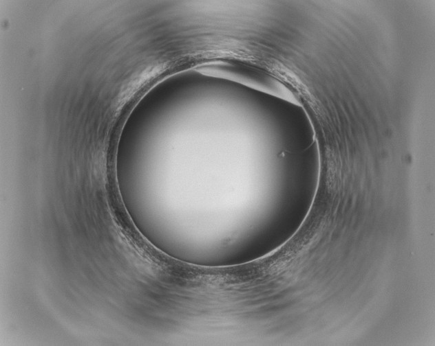 X0000088840482200706071424