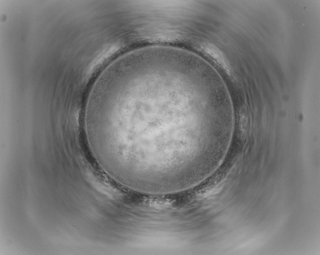 X0000088840491200706071424