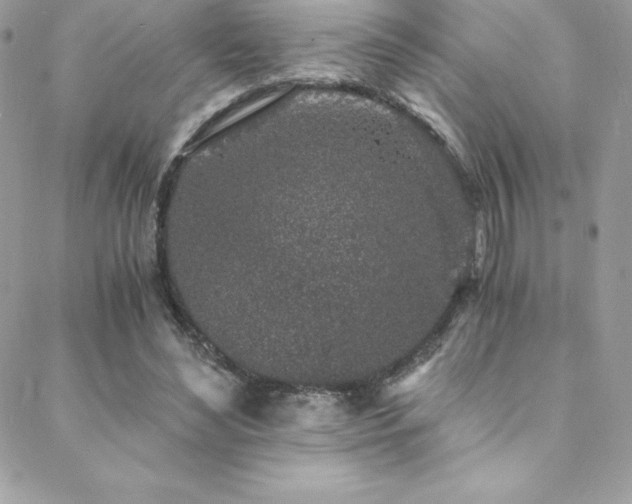 X0000088840492200706071424