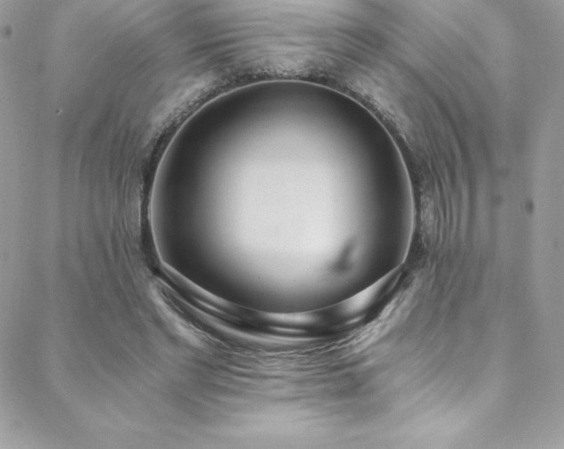 X0000088840493200706071424