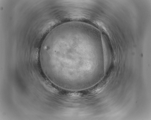 X0000088840495200706071423