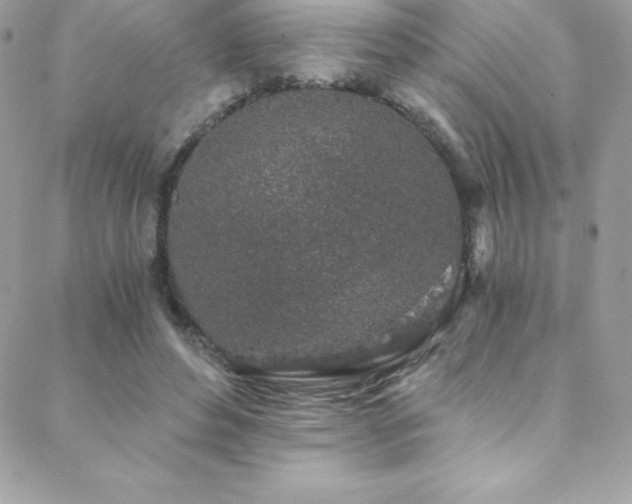 X0000088840496200706071423