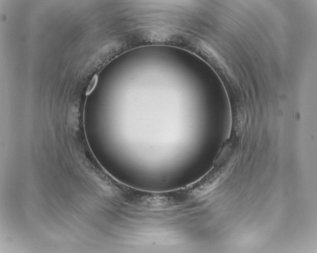 X0000088840497200706071423