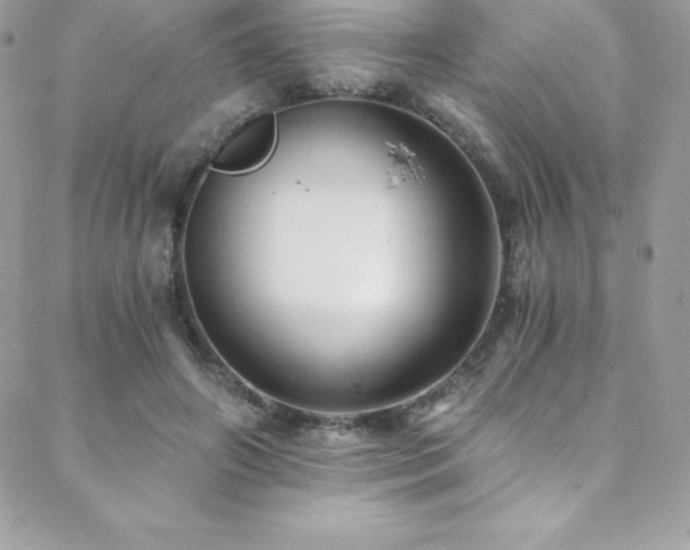 X0000088840498200706071423