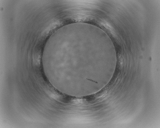 X0000088840499200706071423