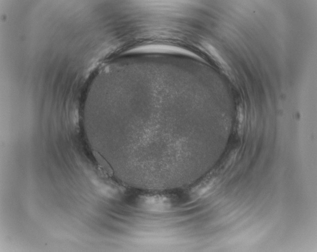 X0000088840500200706071423