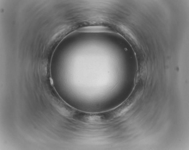 X0000088840501200706071423