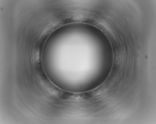 X0000088840502200706071423