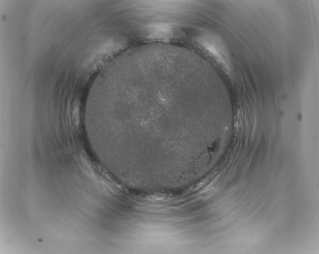 X0000088840504200706071423