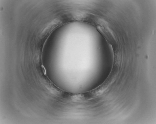 X0000088840505200706071423