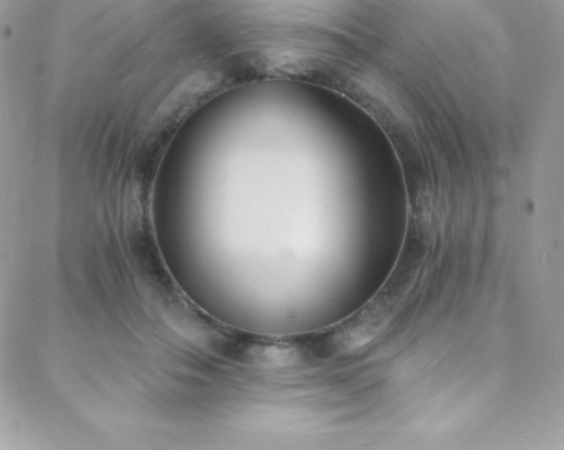 X0000088840506200706071423