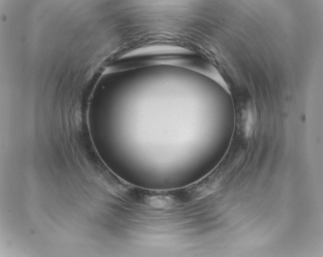 X0000088840508200706071423