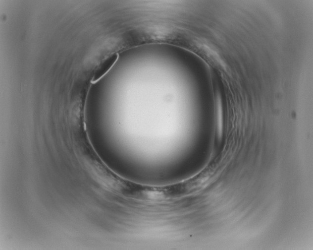 X0000088840509200706071423