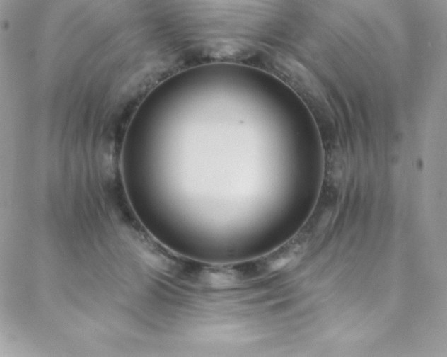 X0000088840510200706071423