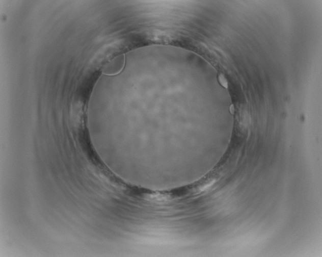 X0000088840511200706071423