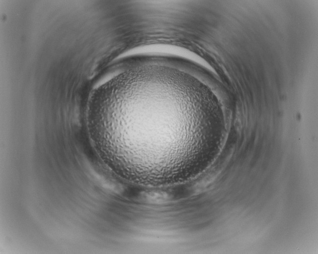 X0000088840512200706071423