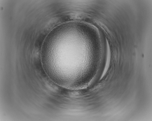 X0000088840513200706071423