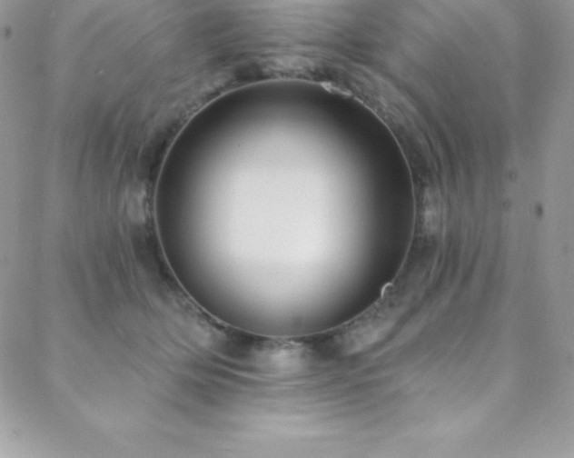 X0000088840514200706071423