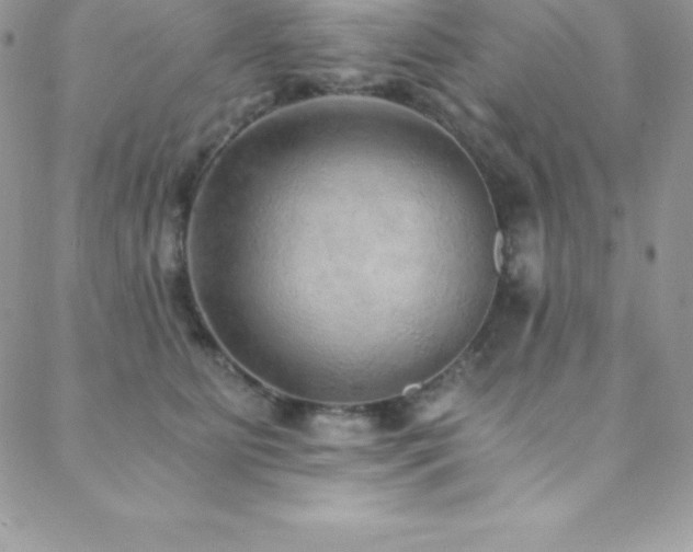 X0000088840515200706071423