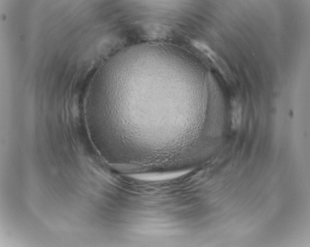 X0000088840516200706071423