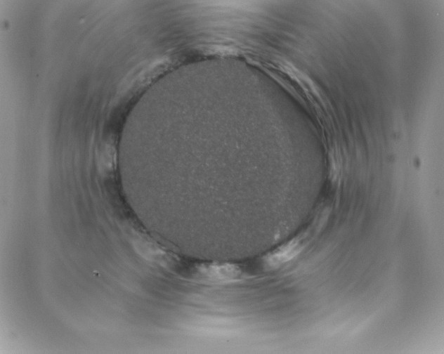 X0000088840517200706071423