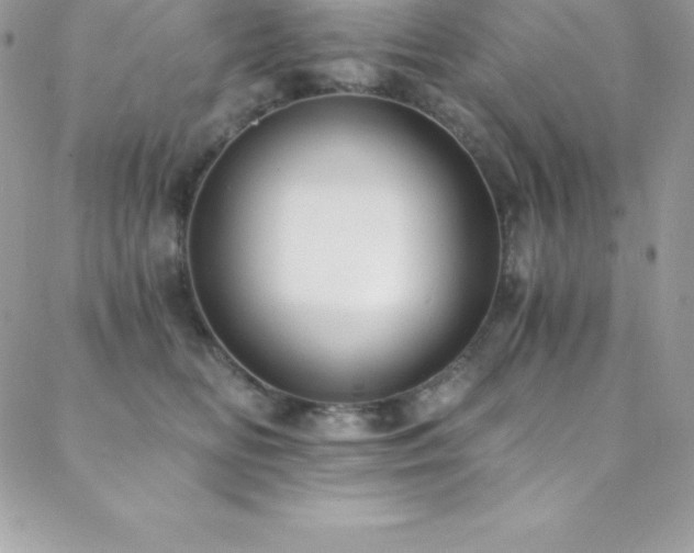 X0000088840518200706071423