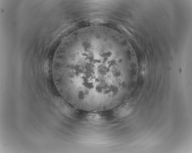 X0000088840519200706071423