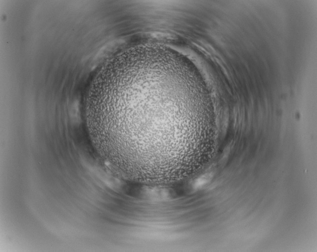 X0000088840520200706071423