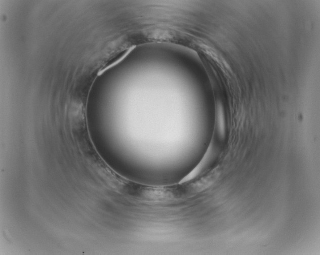 X0000088840521200706071423