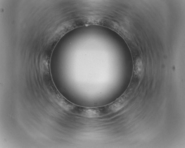 X0000088840522200706071423