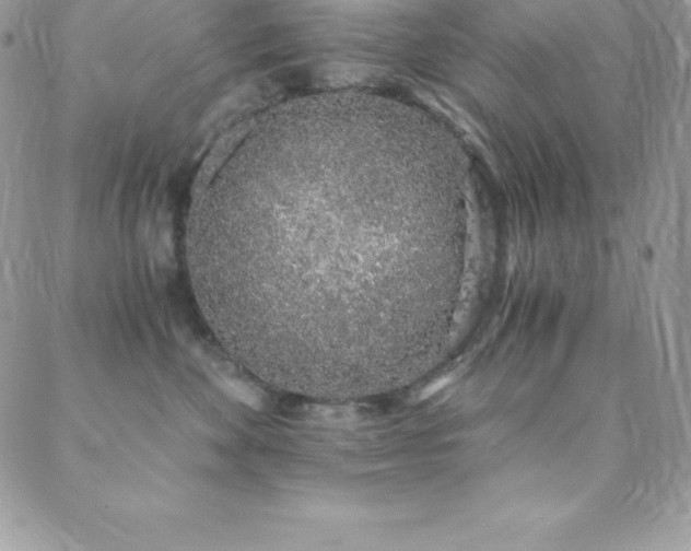 X0000088840524200706071423