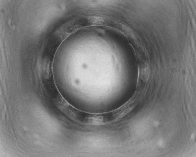 X0000088840525200706071423