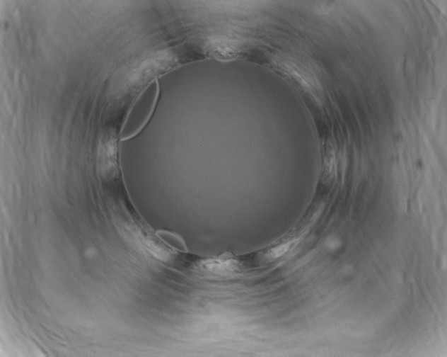 X0000088840526200706071423