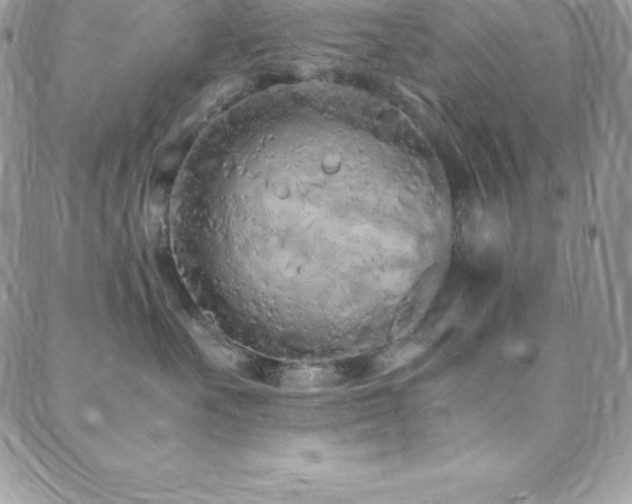 X0000088840527200706071423