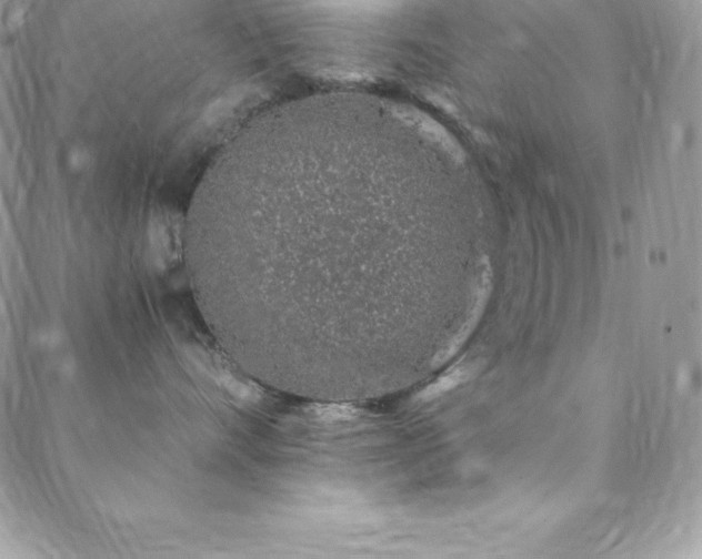 X0000088840528200706071423