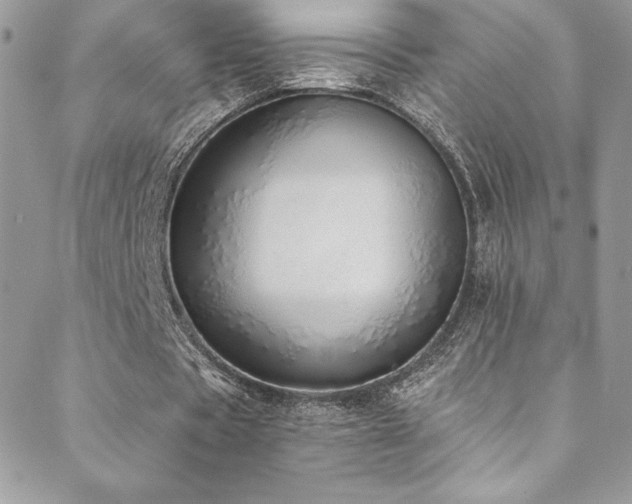 X0000088840529200706071422