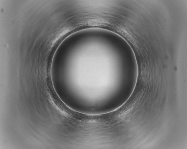 X0000088840530200706071422