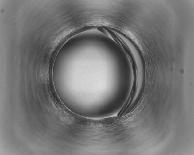 X0000088840531200706071422