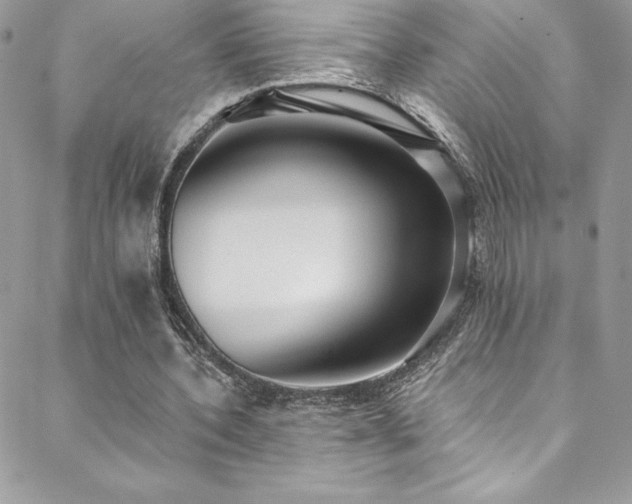 X0000088840532200706071422