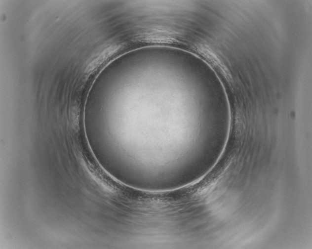 X0000088840533200706071422