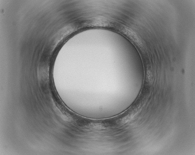 X0000088840534200706071422