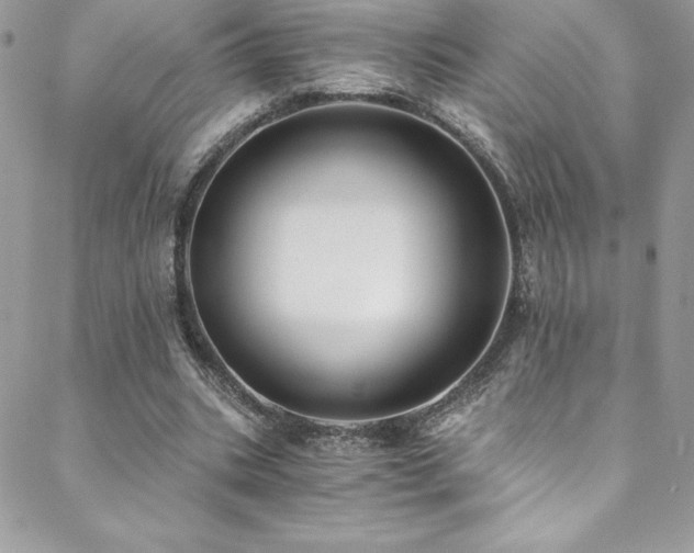 X0000088840535200706071422