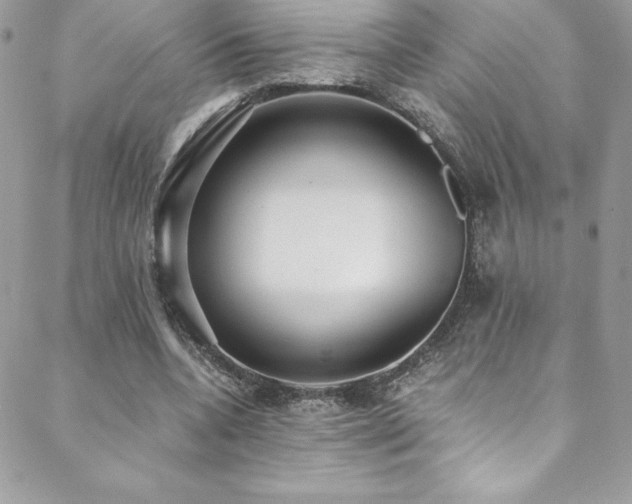 X0000088840536200706071422